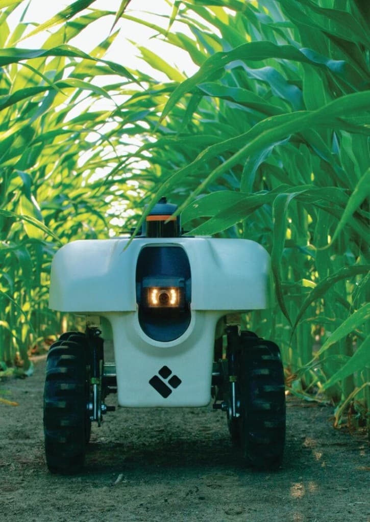 Plant phenotyping robot collecting crop trait data between corn rows