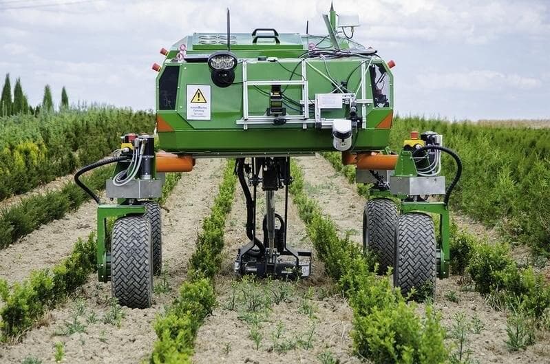 Green autonomous weeding robot straddling crop rows in the field