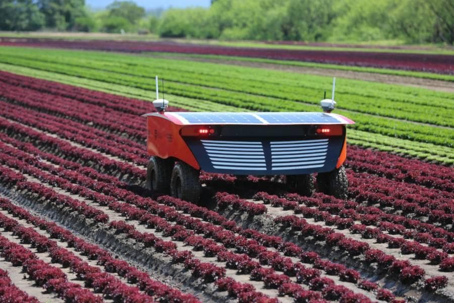 Solar-powered agricultural robot operating in crop fields